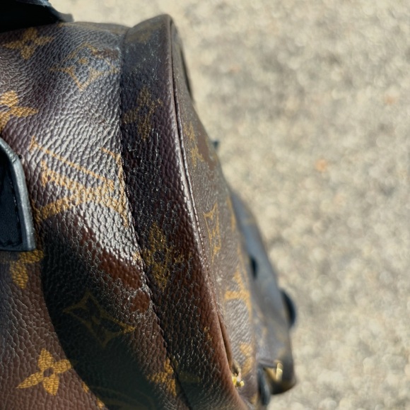 Louis Vuitton Palm Spring Mini Backpack - Picture 12 of 15